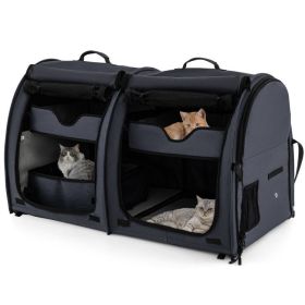 Double Compartment Pet Carrier with 2 Removable Hammocks