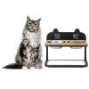 Raised Pets Cats Dog Feeding Station Elevated Pet Feeder